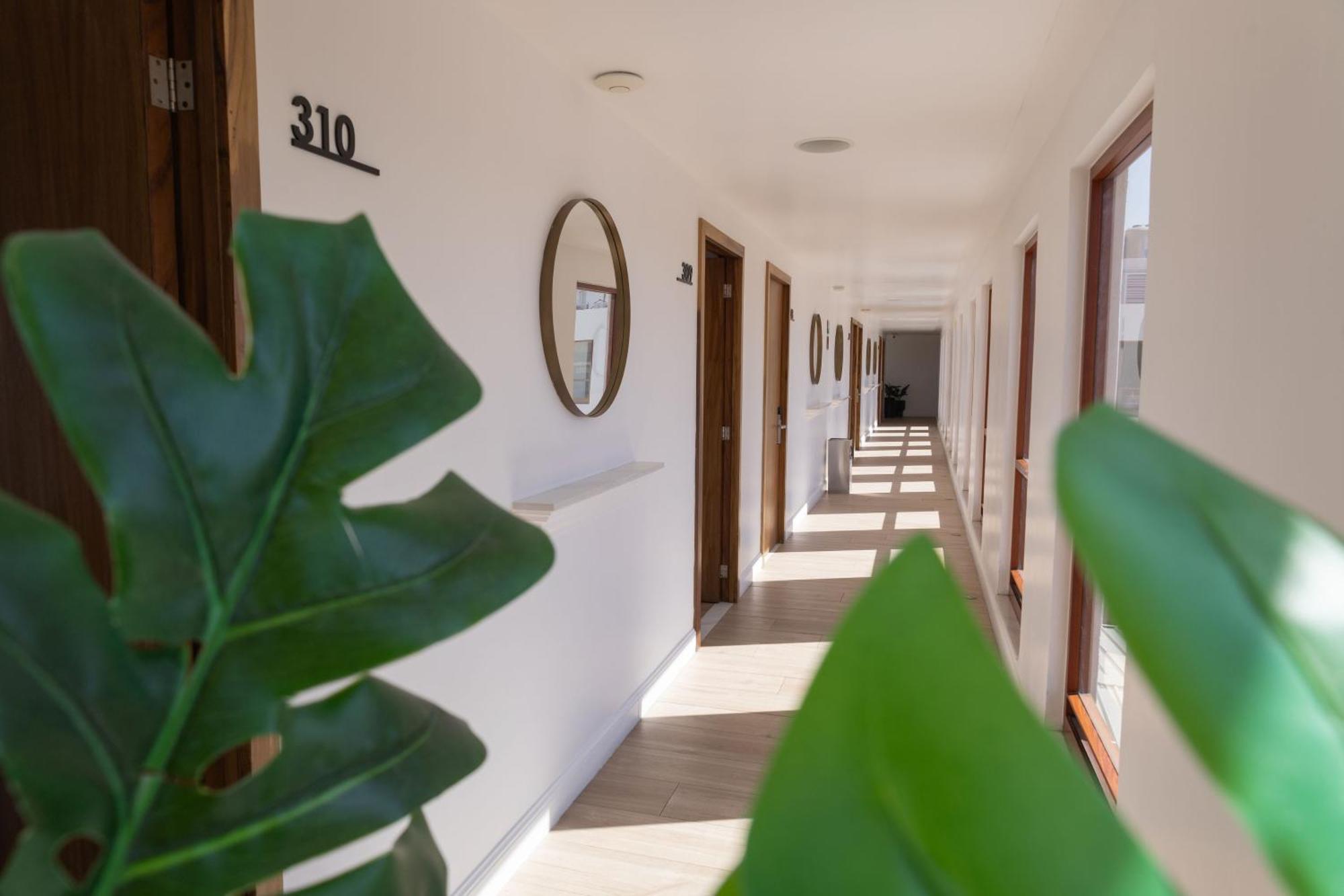 Six Hotel Guadalajara Degollado מראה חיצוני תמונה
